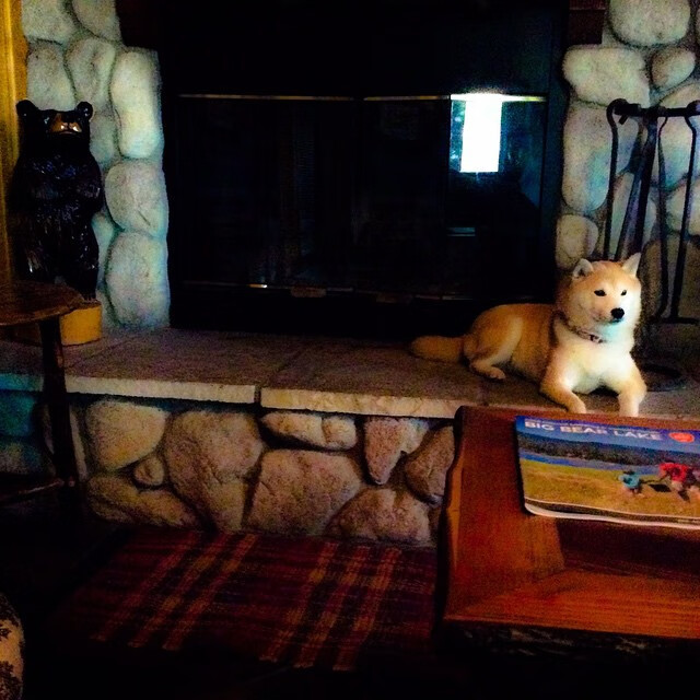 开云体育登录-2026世界杯最大冷门,一支俱乐部如何险胜东道主美国?