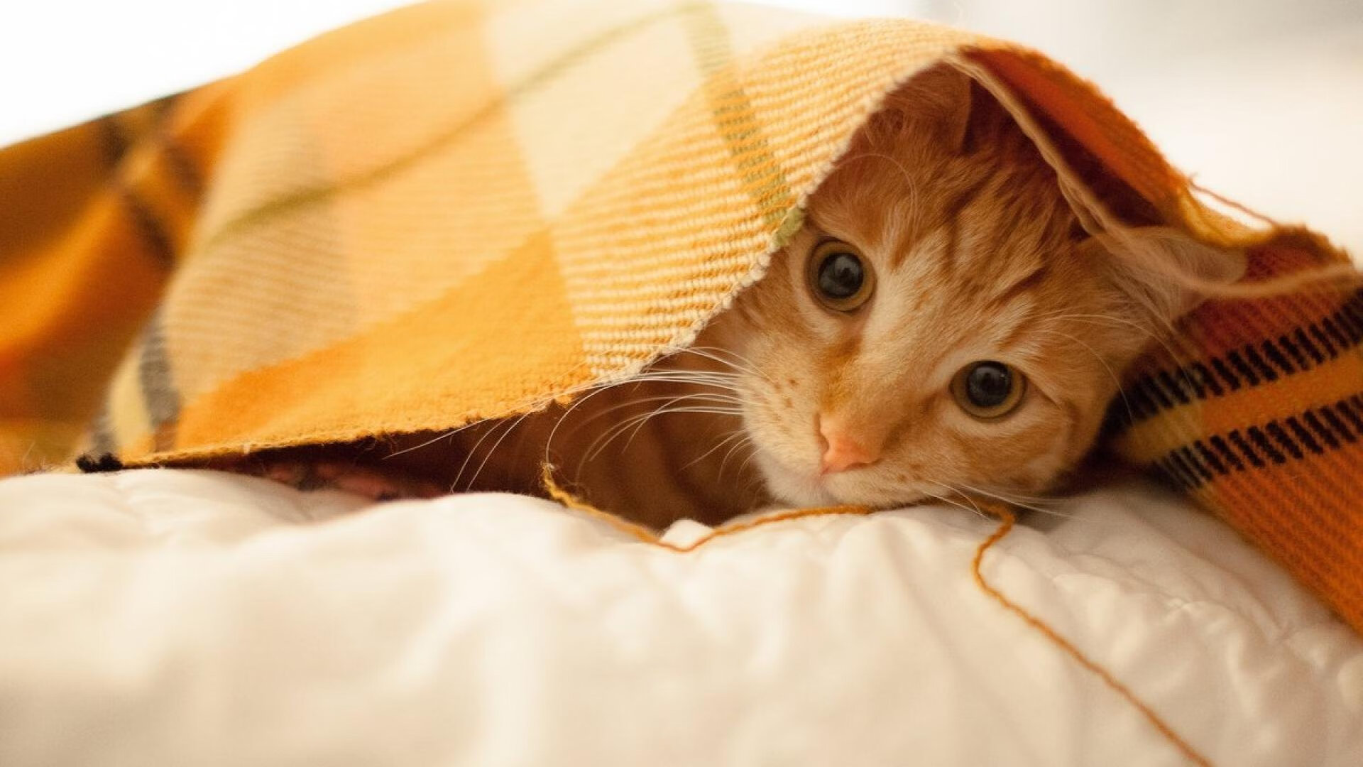 钢铁洪流终破局,毕尔巴鄂竞技用NBA式末节哲学带走智利国家队