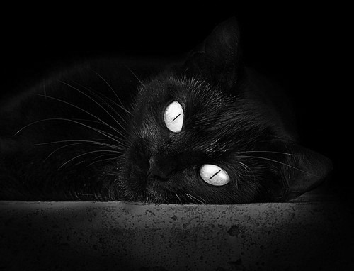 开云体育在线-撕裂宿命之夜,英格拉姆獠牙出鞘,北京队粉碎不败公牛神话