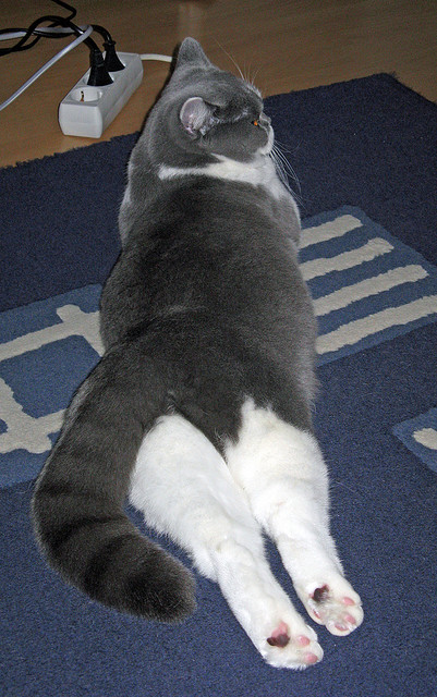 开云sport-44+18!字母哥太空城市上演狂暴之战,深圳加时鏖战力擒开拓者