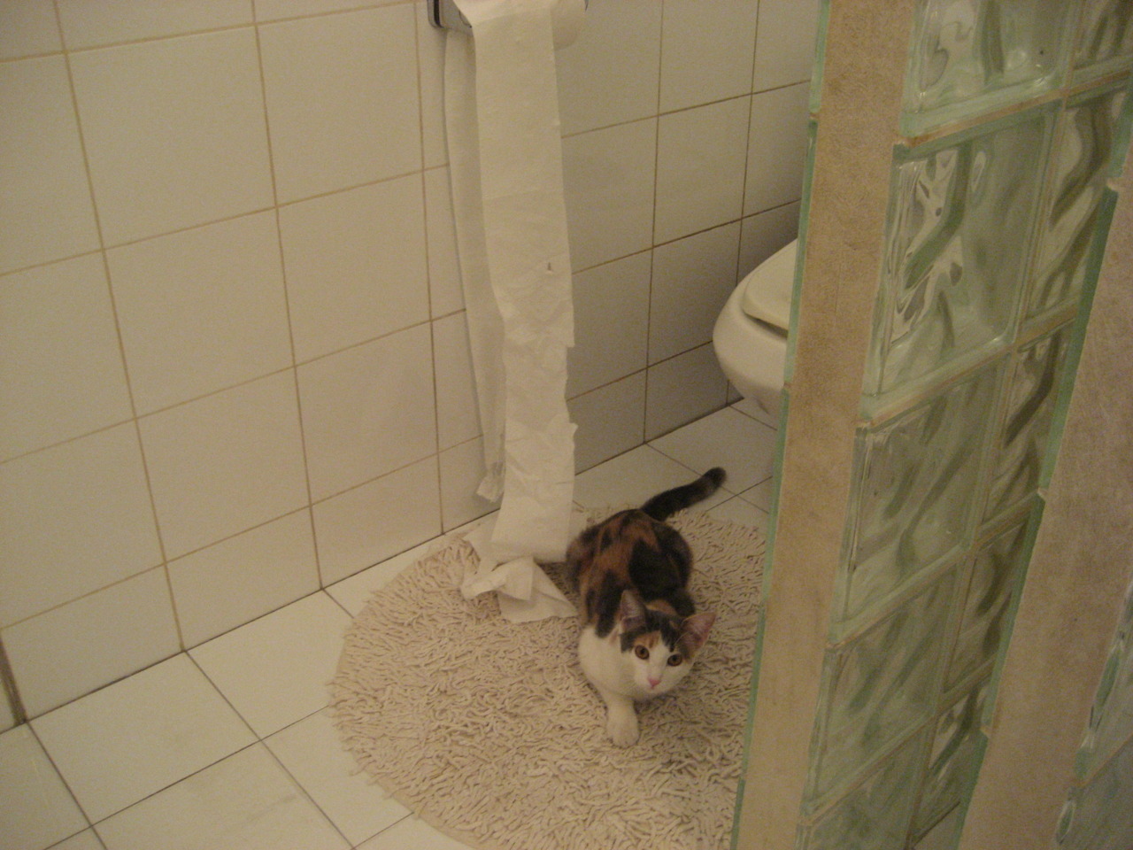 沉默交响曲，从比利时锁链到阿尔瓦雷斯的破局密钥