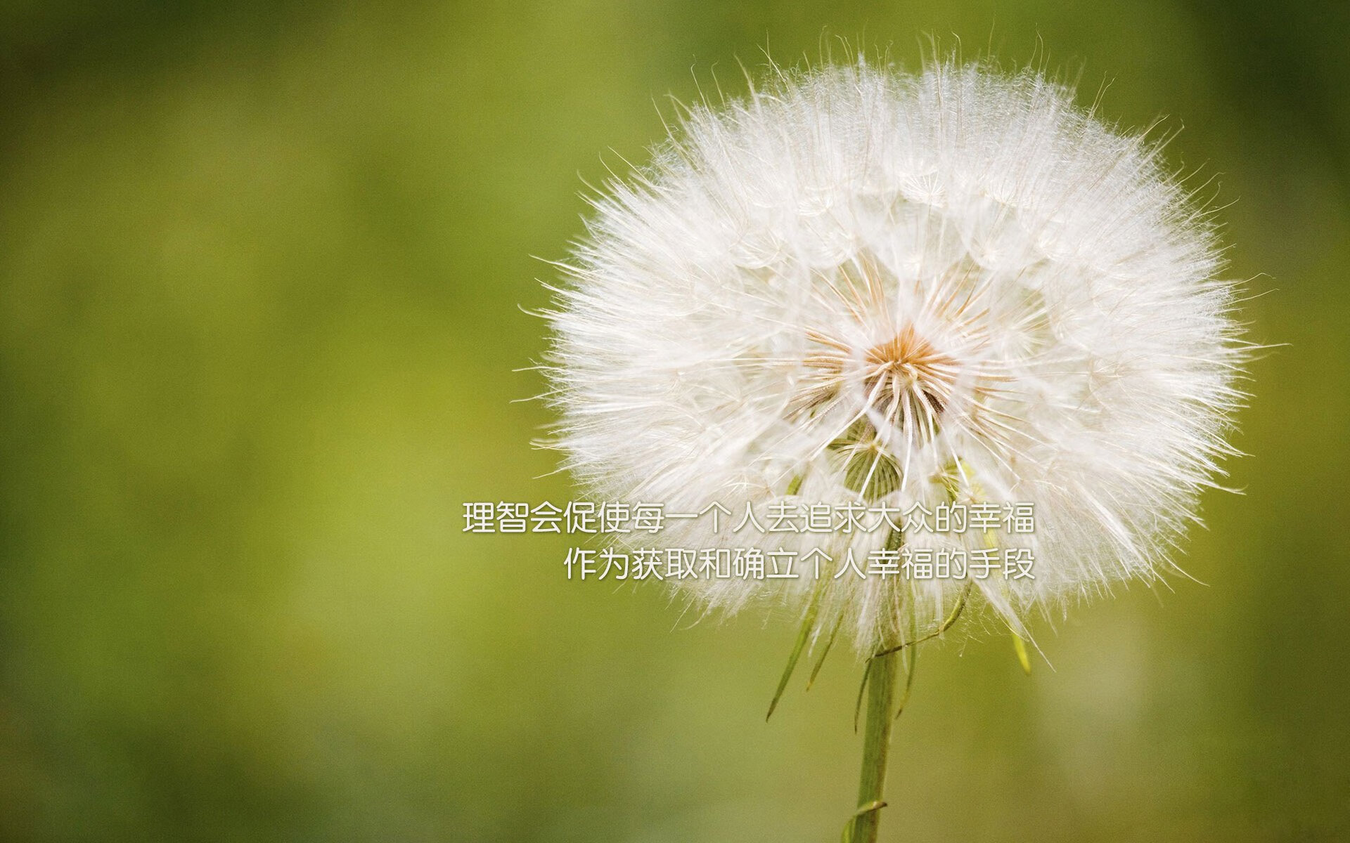 疆界消融之夜，当利拉德闪耀与马刺哲学在东方回响