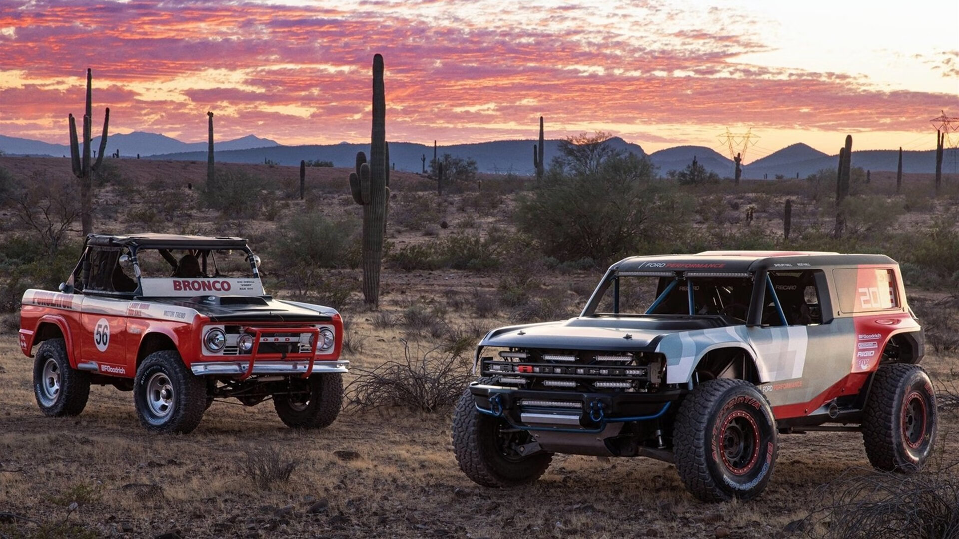 教科书，赖斯在瑞典对阵委瑞内拉的绝版战术影像