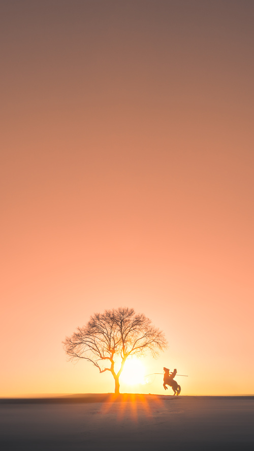 开云-精密与狂放的史诗对决，当德意志战车遭遇那不勒斯飓风，卡瓦哈尔如何成为历史的天平