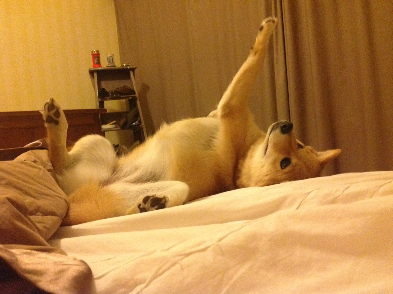 叹息之墙,保罗导演攻防棋局,骑士展现体系性压制