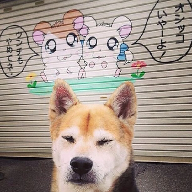 开云下载-字母哥关键时刻如神降临，骑士提前终结悬念令掘金窒息