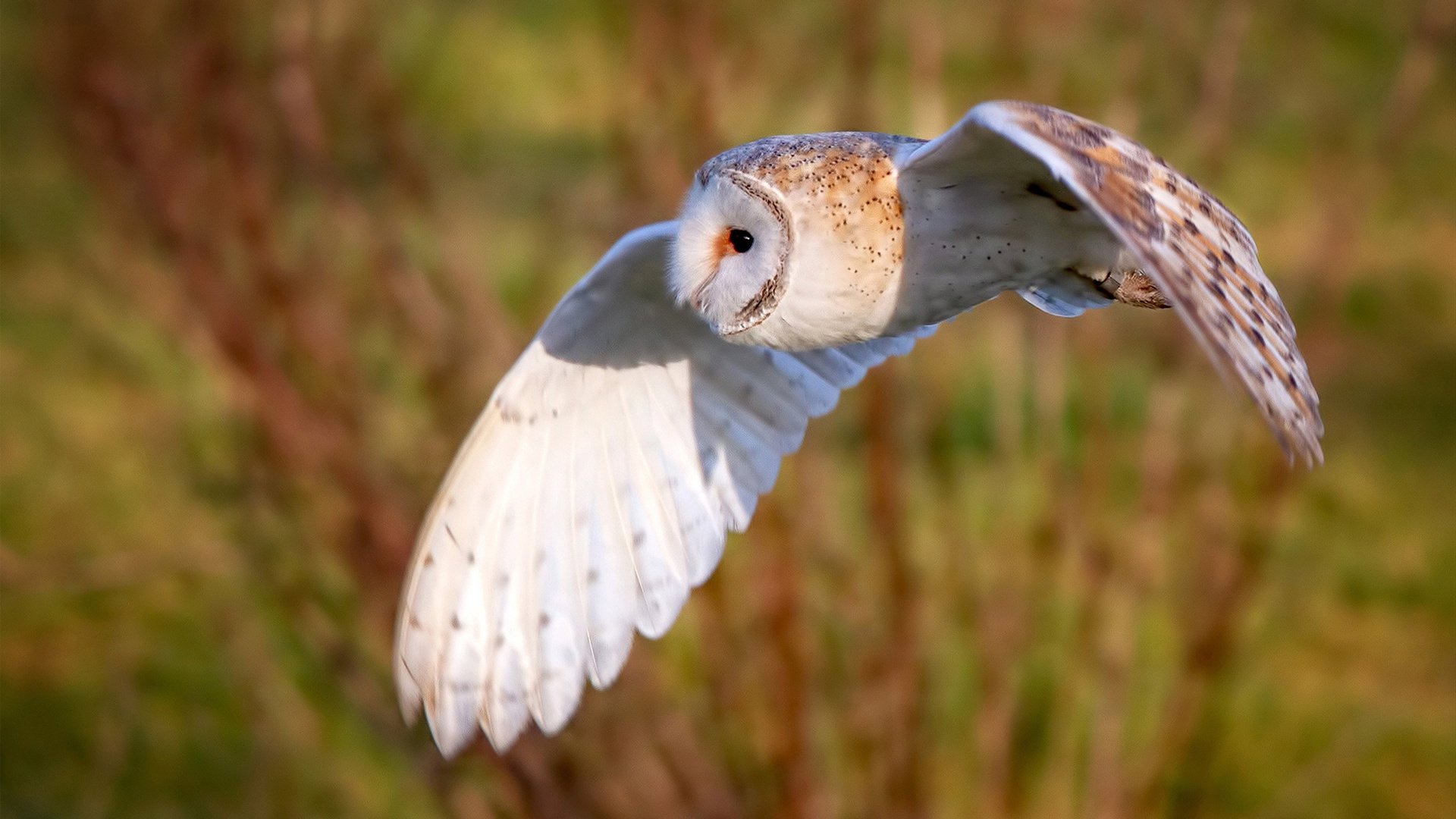 唯一等待天亮的人,金玟哉于无声处证明自己