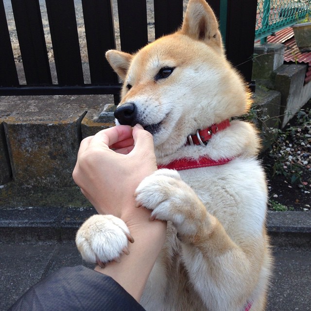 开云APP-班凯罗时刻,2026世界杯之夜,连斩15分终结悬念