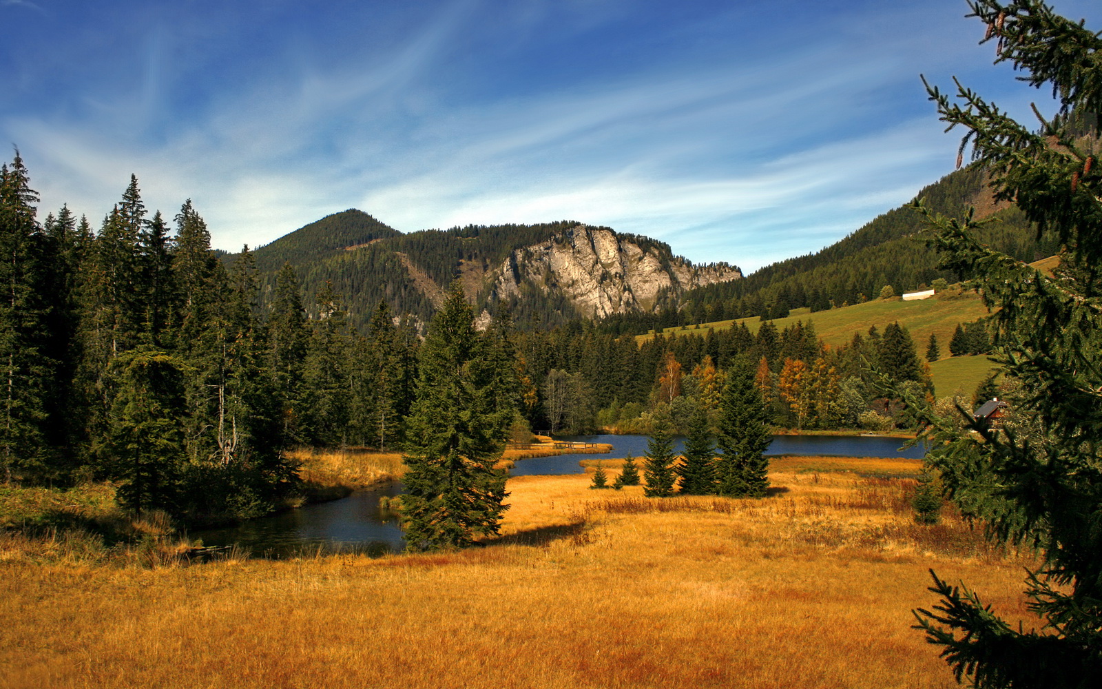 开云体育登录-跨界闪耀,灰熊关键战逆袭雄鹿,班凯罗欧冠决赛主宰赛场