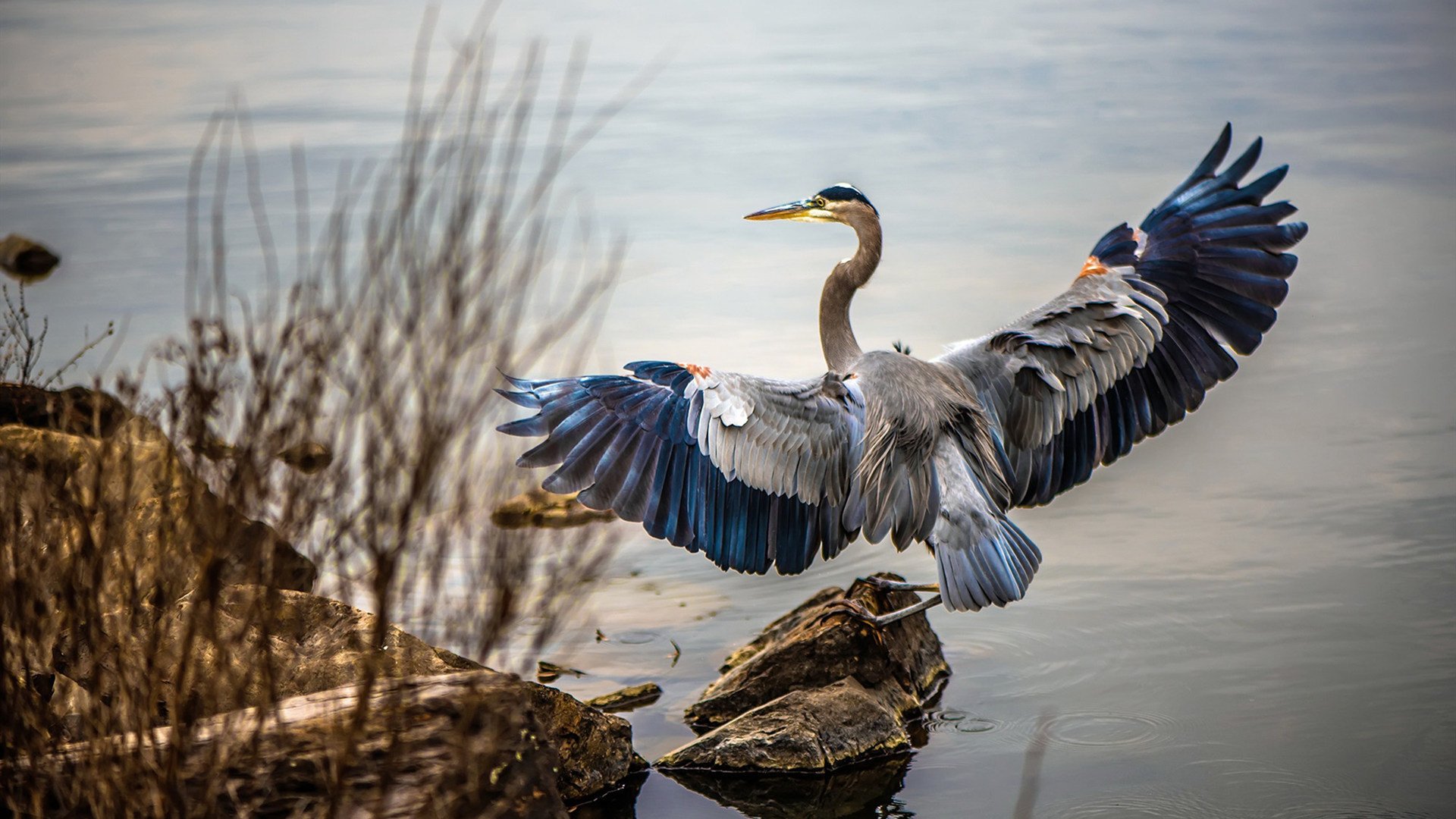 开云体育APP下载-班凯罗统治全场，爵士压哨绝杀尼克斯—NBA今日精彩回顾