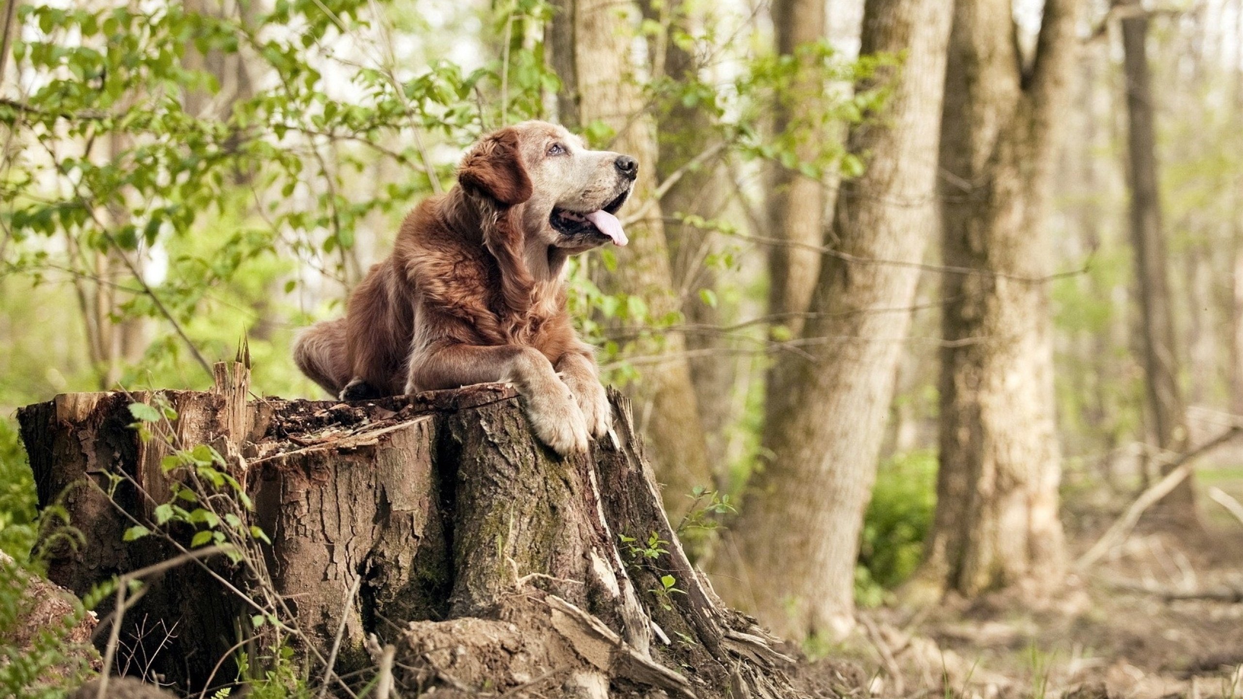 开云平台-一剑封喉，巴雷拉在希腊的铁血防线前成为毕尔巴鄂的答案