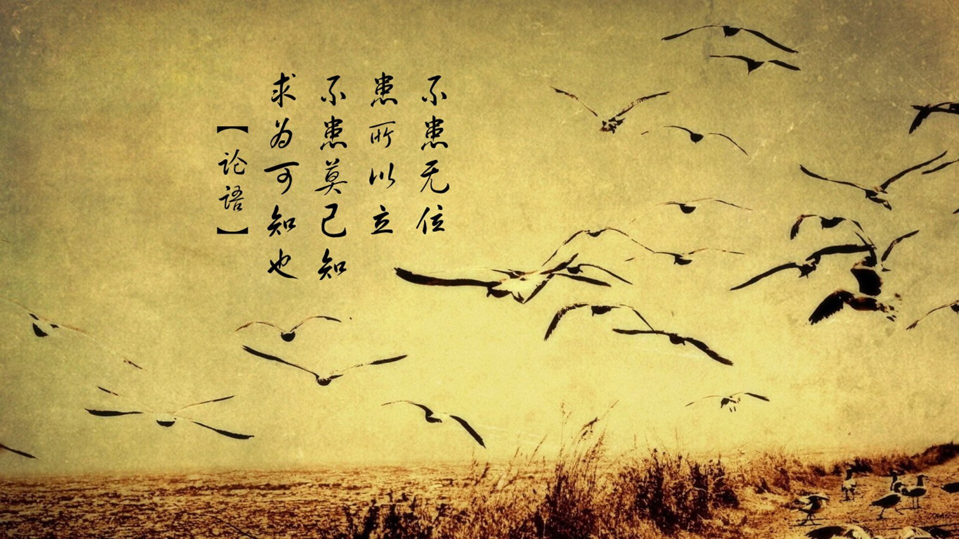 托斯卡纳夜空下的阿根廷魔术,迪马利亚一人导演的跨国交锋