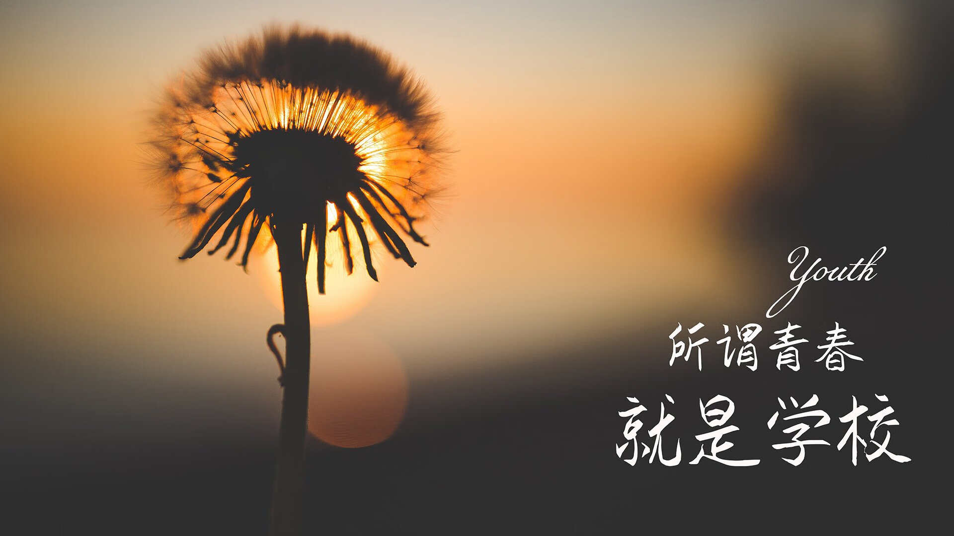 开云体育在线-显微镜下的完美，当范弗利特用一场比赛定义控卫的终极形态